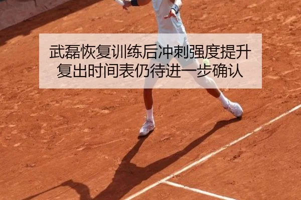 武磊恢复训练后冲刺强度提升 复出时间表仍待进一步确认
