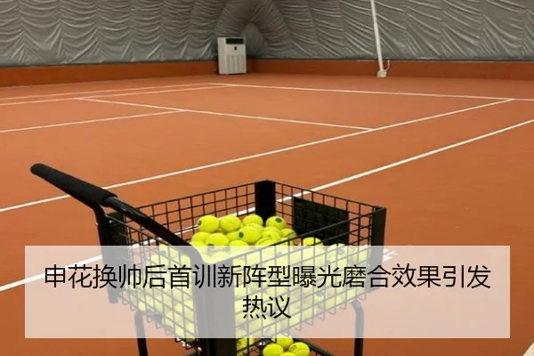 申花换帅后首训新阵型曝光磨合效果引发热议