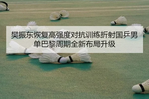 樊振东恢复高强度对抗训练折射国乒男单巴黎周期全新布局升级